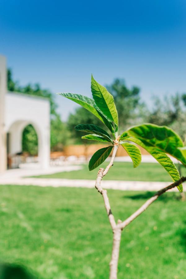 Riserva Urla Exterior foto